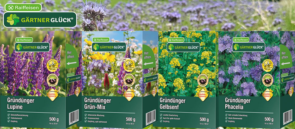 Gärtnerglück Gründünger